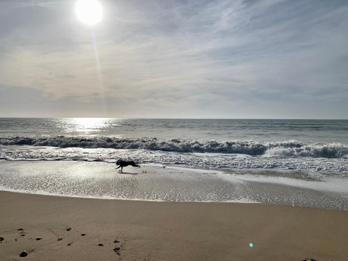 Maison Face Au Soleil Le Bois-Plage-en-Re Ngoại thất bức ảnh